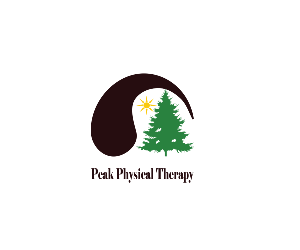 Logo-Design von bradoral für Peak Physical Therapy | Design #3677657