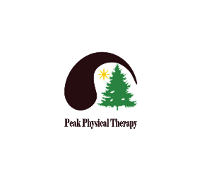 Design de Logo par bradoral pour Peak Physical Therapy | Design #3677657