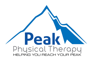 Design de Logo par ERICK ANDRE VOORNEMAN pour Peak Physical Therapy | Design #3661380