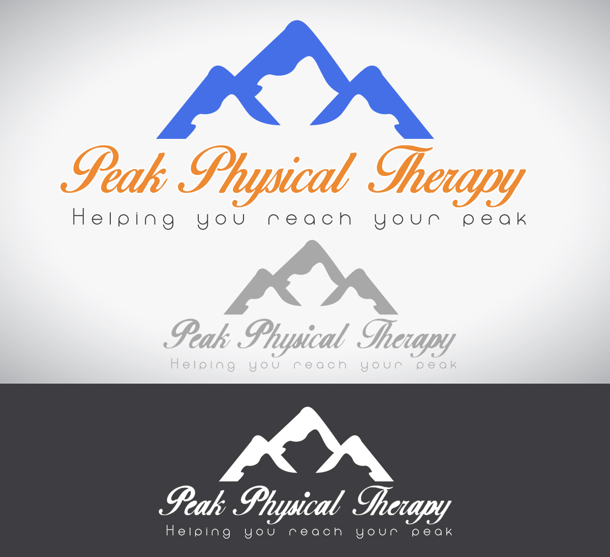 Logo Design by hesanhasan for Peak Physical Therapy | Design #3639729