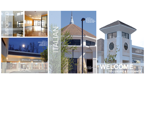Diseño de Brochure por Dejuner para NEEL, LLC | Diseño: #3599729