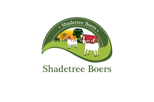 Logo Design by sahank for this project | Design #3575738