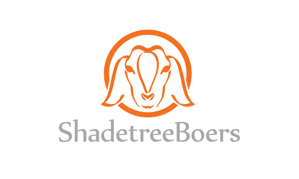 Design de Logo par trufya pour ce projet | Design #3637796