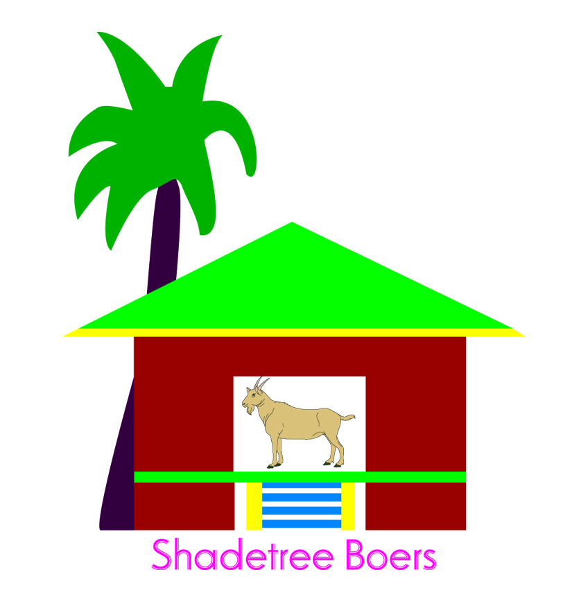 Logo Design by Design Soul for this project | Design #3574355