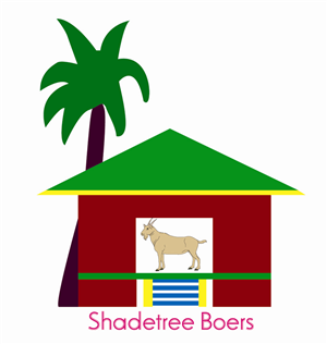 Logo Design by Design Soul