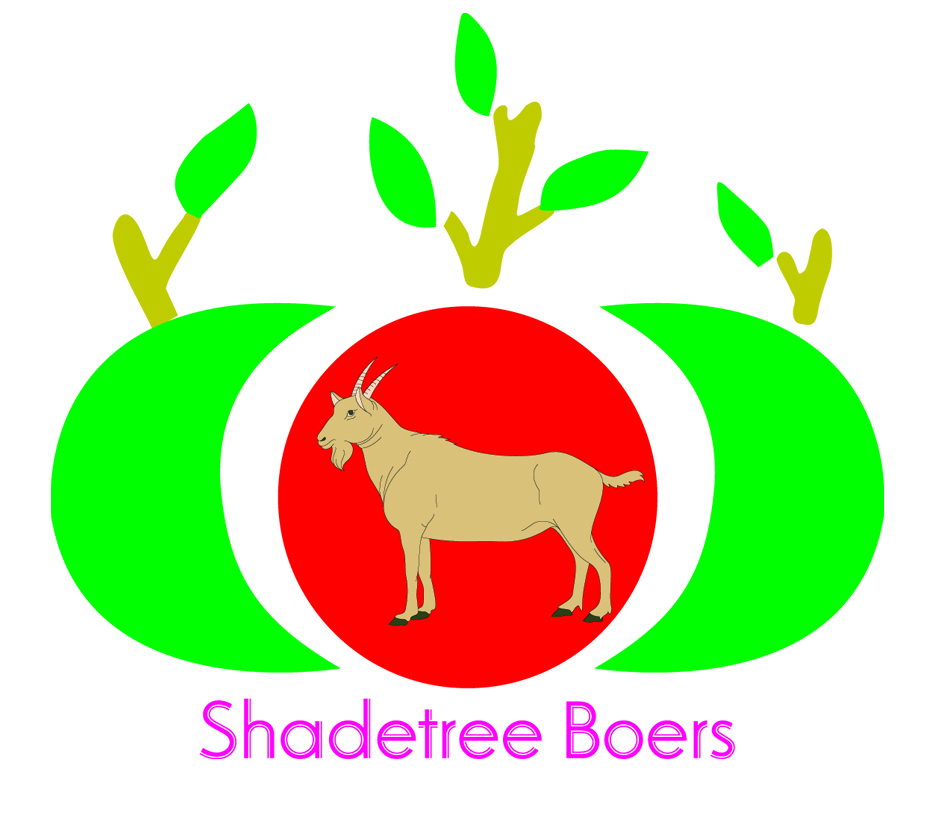 Logo Design by Design Soul for this project | Design #3574371