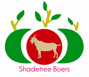 Logo Design by Design Soul for this project | Design: #3574371