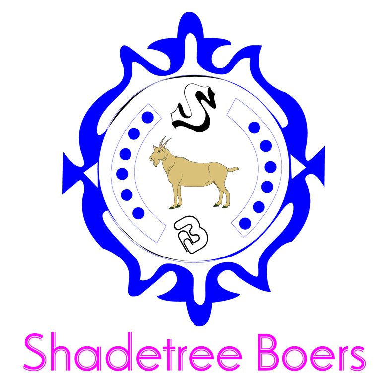 Logo Design by Design Soul for this project | Design #3574382