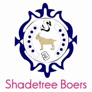 Logo Design by Design Soul for this project | Design: #3574382