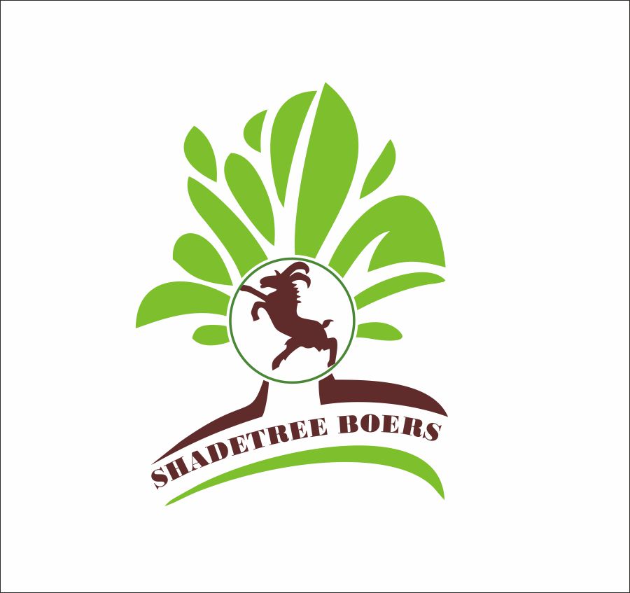 Logo Design by vesnusca for this project | Design #3573631