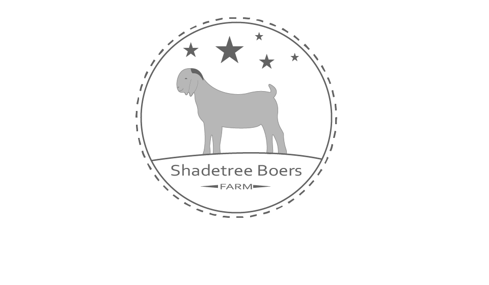 Logo Design by ProLance (Bogdan) for this project | Design #3622016