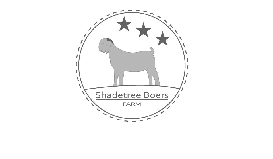 Logo Design by ProLance (Bogdan) for this project | Design #3622033