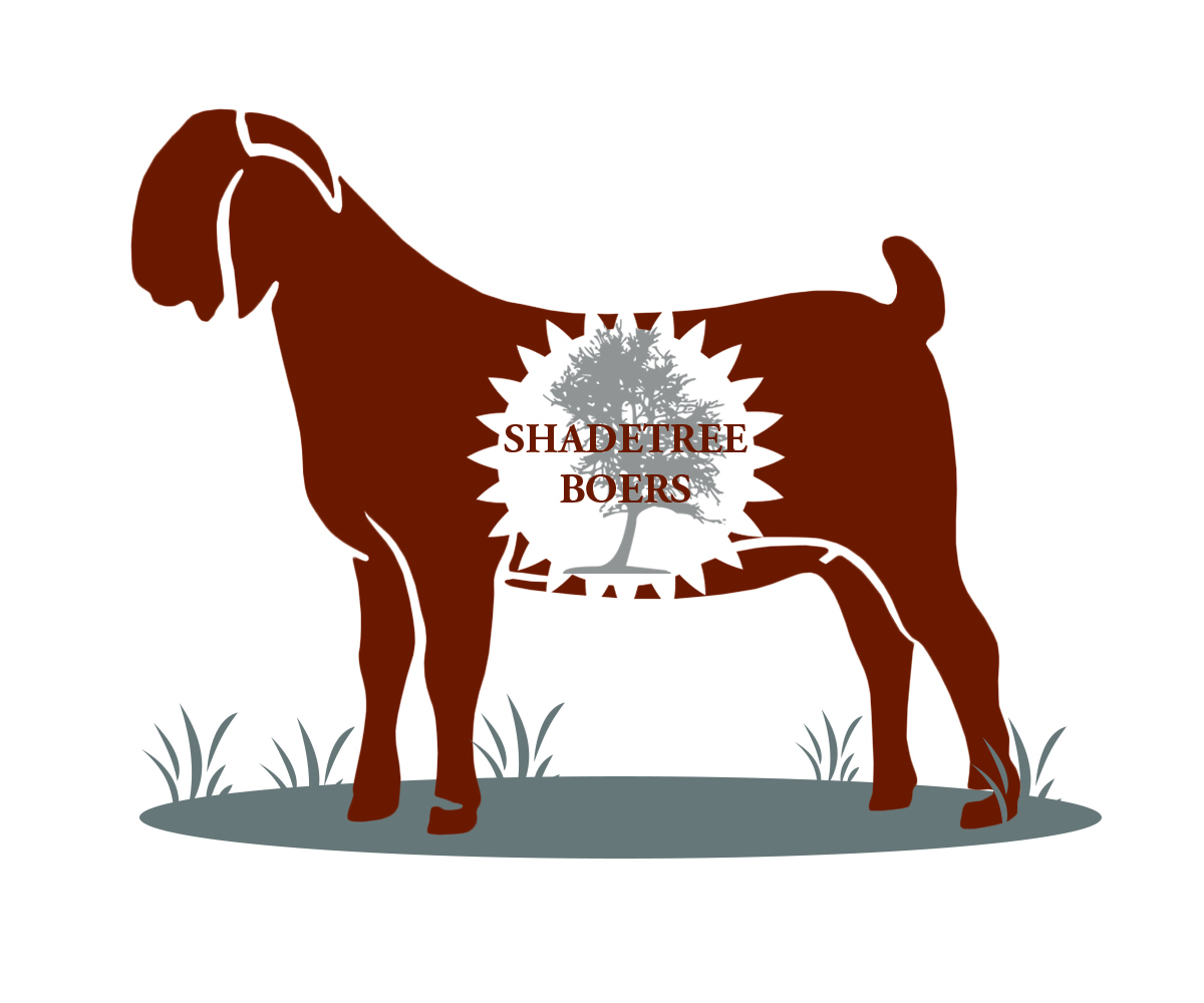 Logo Design by designuvation for this project | Design #3645859