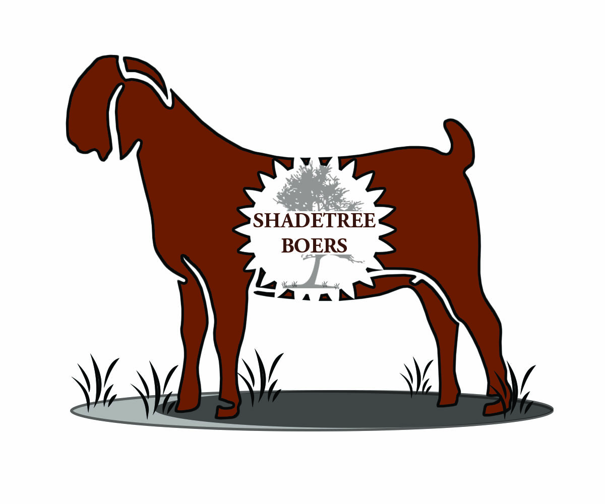 Logo Design by designuvation for this project | Design #3649155