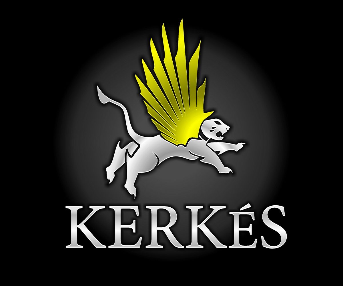 Logo Design by hamkur for this project | Design #3581727