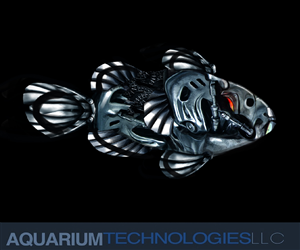 Illustration-Design von Filip Paul für dieses Projekt | Design: #3642398