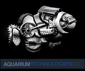 Robotic Fish | Design Illustration par BJY