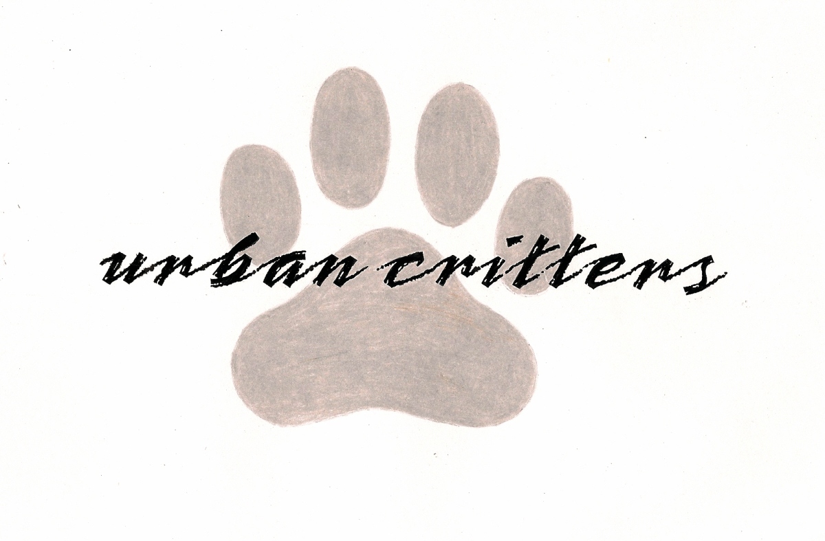 Design de Logo par Jax pour Urban Critters | Design #110922