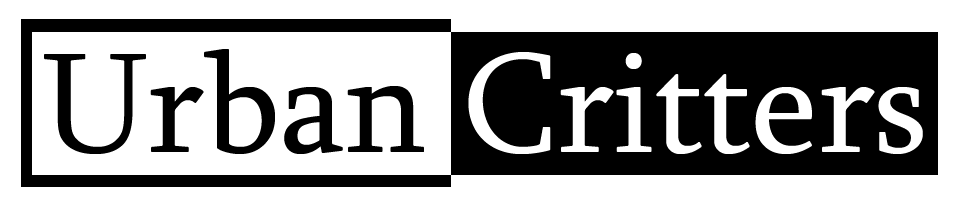 Design de Logo par hasan edogawa pour Urban Critters | Design #95956