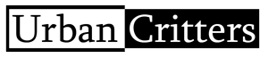 Diseño de Logo por hasan edogawa para Urban Critters | Diseño: #95956