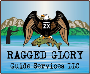 Logo Design by Idea Works
