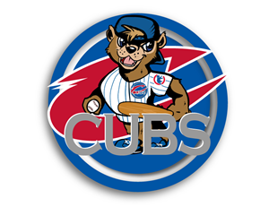 Logo Design by Bowdidge Design
