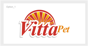 Logo Design by ESolz Technologies
