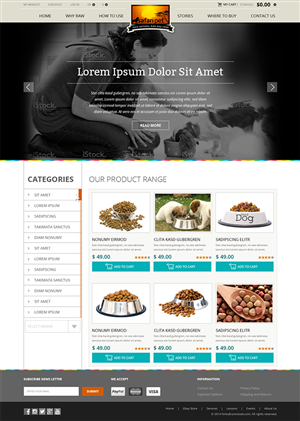 Web Design by ESolz Technologies