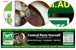 Banner Ad Design by neboica for Advanced Basics Pty Ltd | Design: #891728