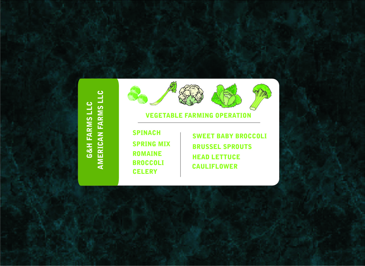 Business Card Design by MG for this project | Design #3617214