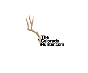 Logo Design by MaViT