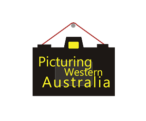 Logo Design by HAIM Anand