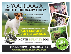 Advertisement Design by rkailas