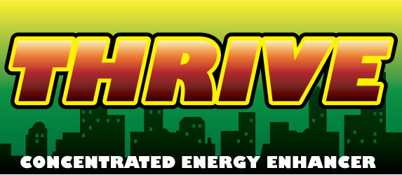 Logo Design by Kings Bishop Design for Mind Masters LLC | Design #98036