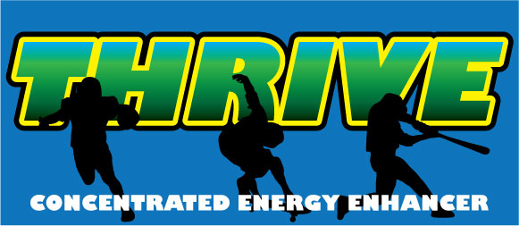 Logo Design by Kings Bishop Design for Mind Masters LLC | Design #98038