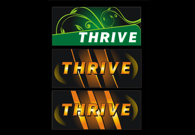 Logo Design by srdjan vojnovic for Mind Masters LLC | Design #96603