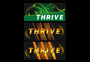 Logo Design by srdjan vojnovic for Mind Masters LLC | Design: #96603