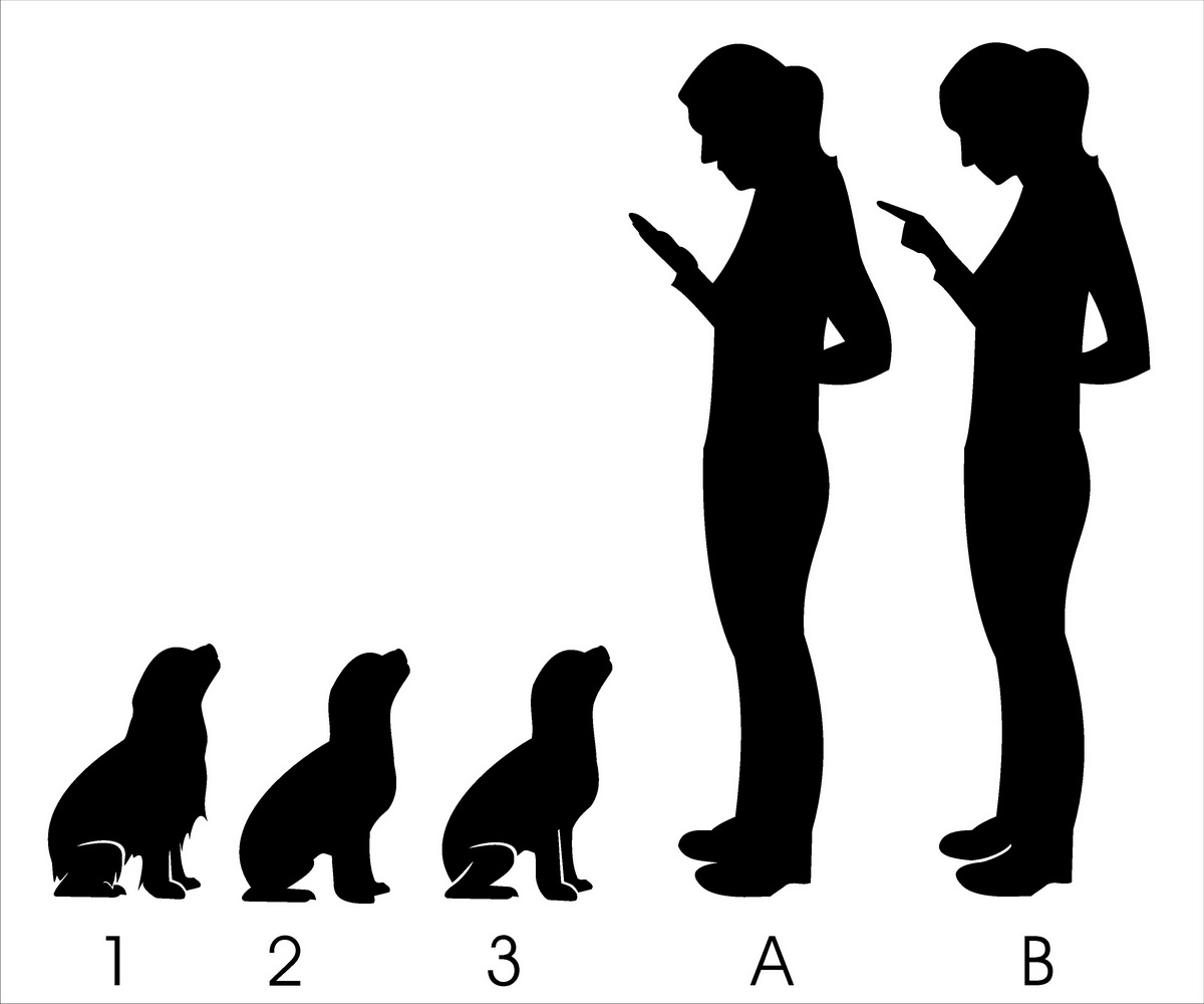 Logo Design by hamkur for this project | Design #3593286