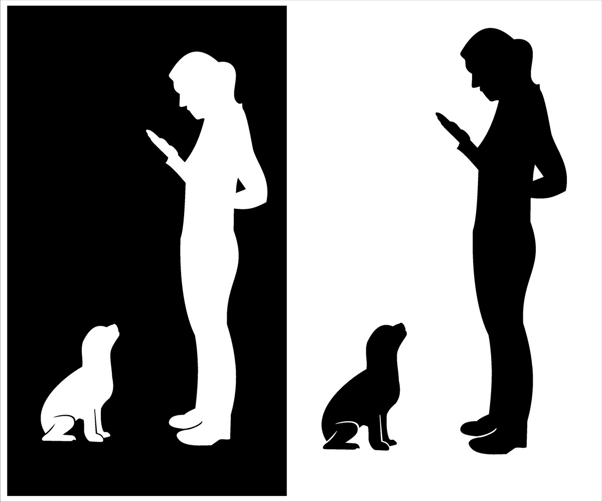 Design de Logo par hamkur pour ce projet | Design #3600922