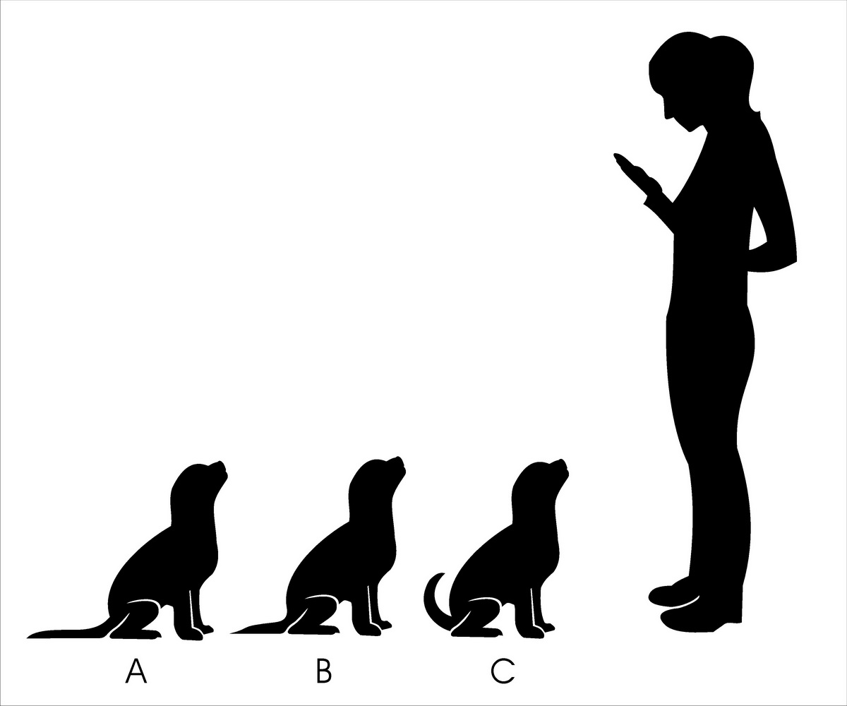 Design de Logo par hamkur pour ce projet | Design #3612139