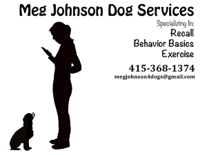 Logo Design by Hana