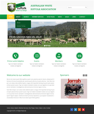 Web Design by Infinity Pix