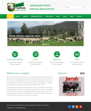 Diseño Web por Infinity Pix para BizBoost | Diseño: #3597802