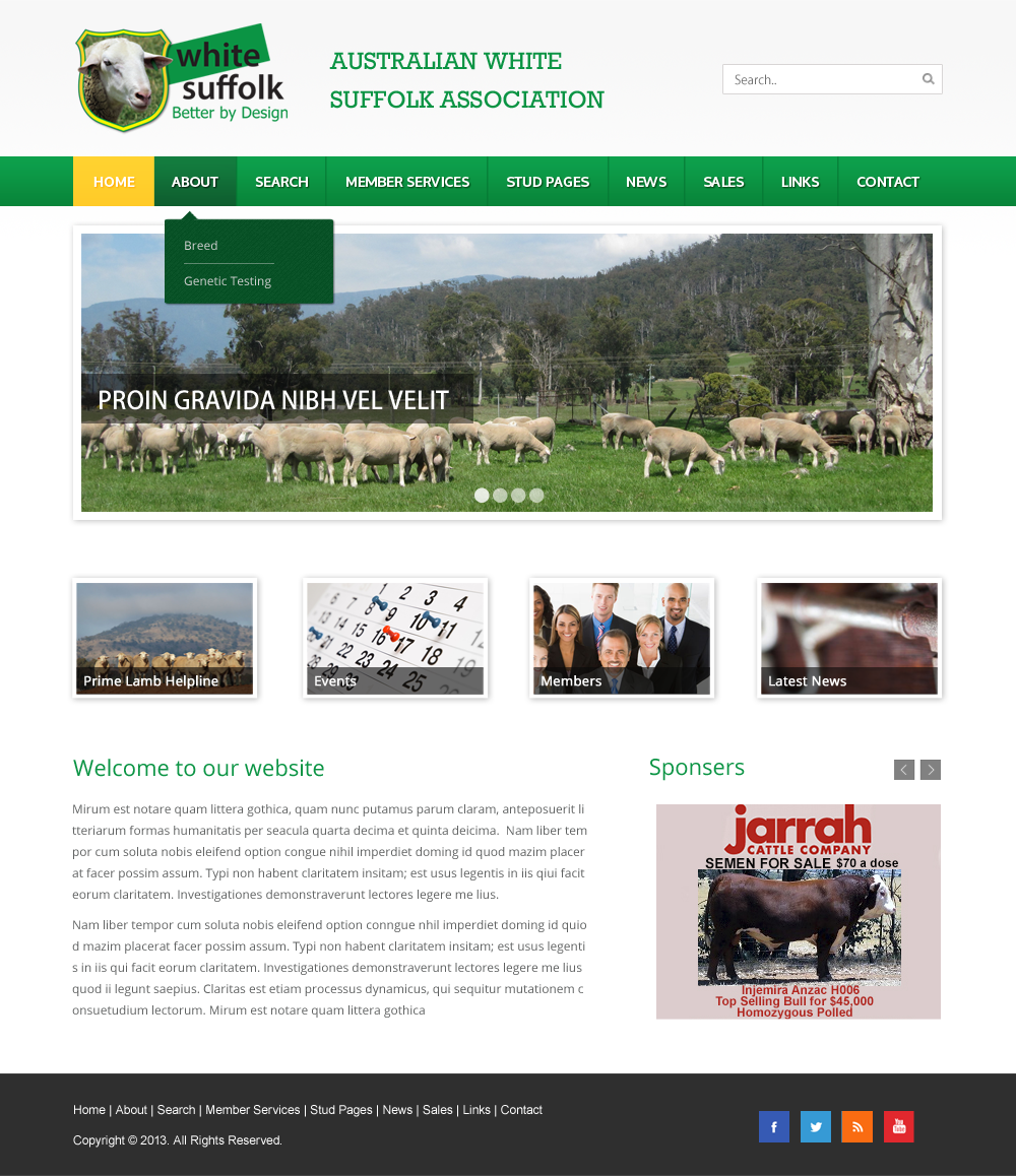 Diseño Web por Infinity Pix para BizBoost | Diseño #3597809