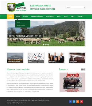 Diseño Web por Infinity Pix para BizBoost | Diseño: #3597809