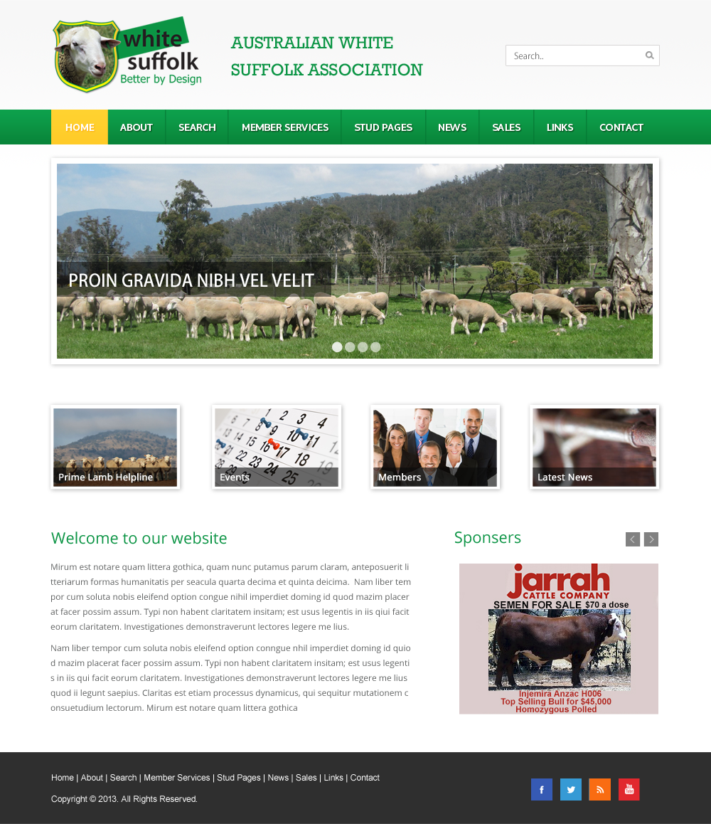 Web Design by Infinity Pix for BizBoost | Design #3597819