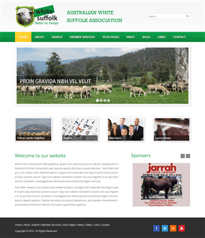 Diseño Web por Infinity Pix para BizBoost | Diseño: #3597819