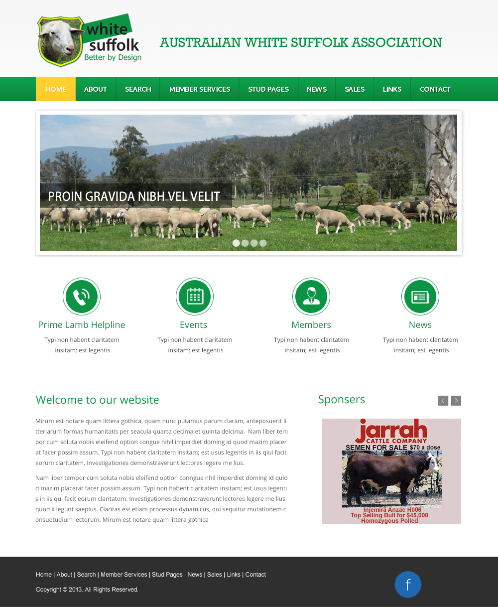 Diseño Web por Infinity Pix para BizBoost | Diseño #3617877