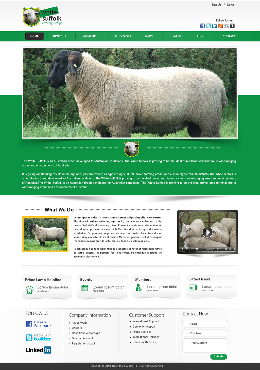 Diseño Web por webxvision para BizBoost | Diseño #3620127