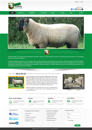 Web Design by webxvision